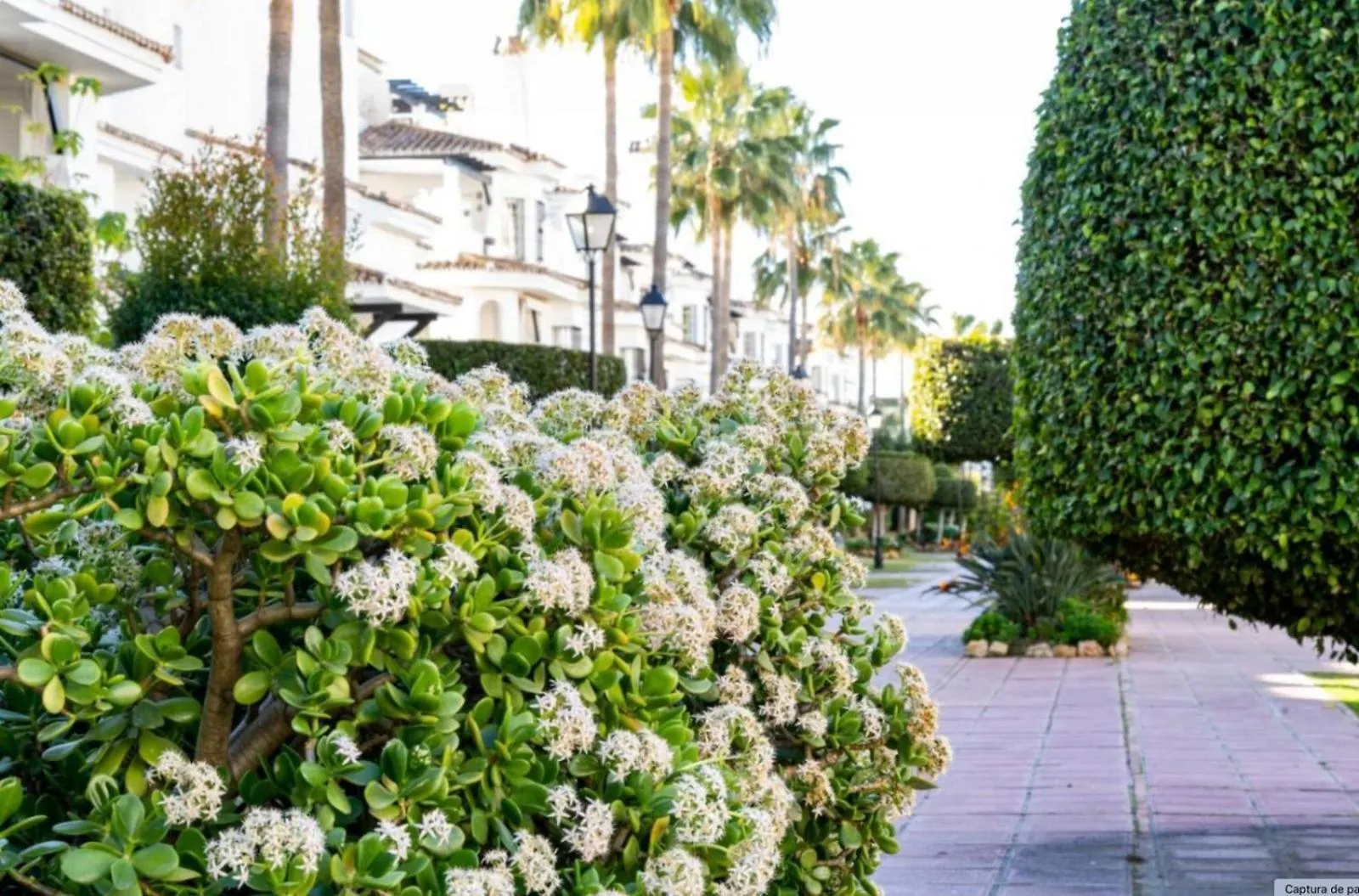 Ab Properties - Chic Apartment - Los Naranjos - Puerto Banus Marbella Spain